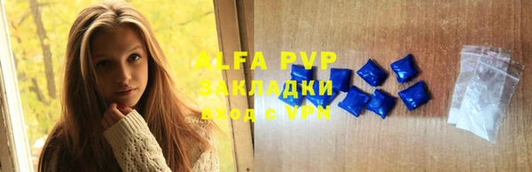 стафф Алексин