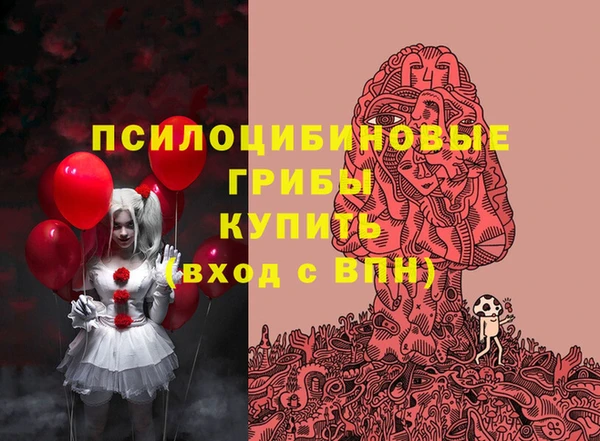 стафф Алексин