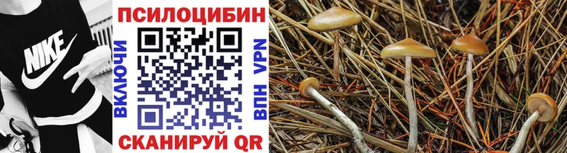 darknet телеграм  Зерноград  Галлюциногенные грибы ЛСД  hydra вход 
