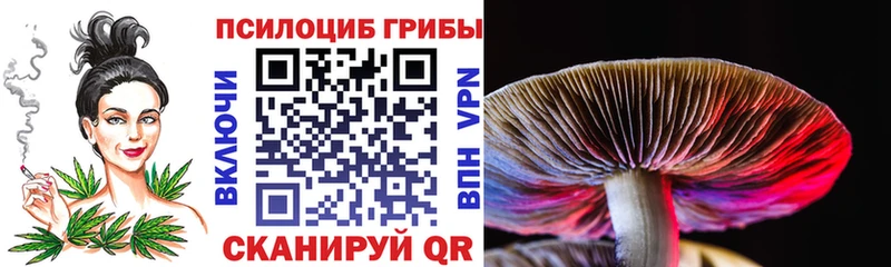 Псилоцибиновые грибы MAGIC MUSHROOMS Зерноград