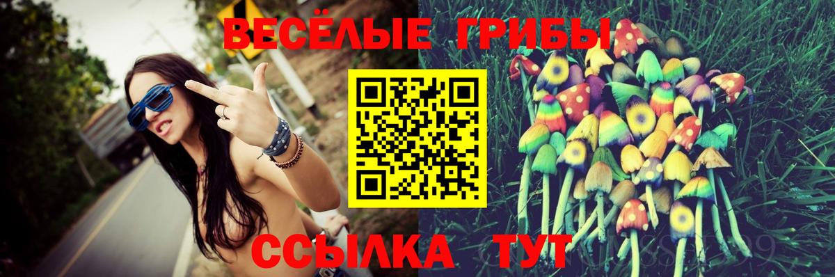 Галлюциногенные грибы Psilocybine cubensis Зерноград